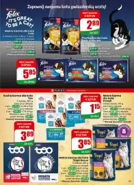 Dino gazetka tydzień 9 Strona 53