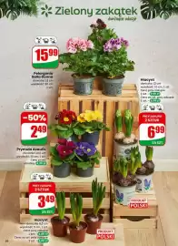 Dino gazetka tydzień 9 Strona 56