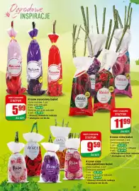 Dino gazetka tydzień 9 Strona 57