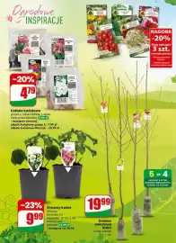 Dino gazetka tydzień 9 Strona 58