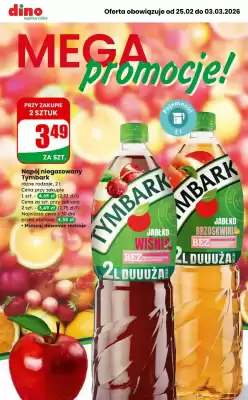 Dino gazetka (ważność do 3-03)