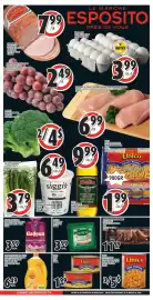 Esposito flyer week 9 Page 1