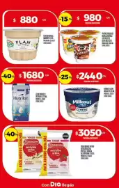 Folleto Supermercados DIA Página 13
