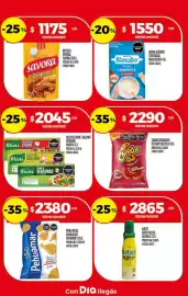 Folleto Supermercados DIA Página 17