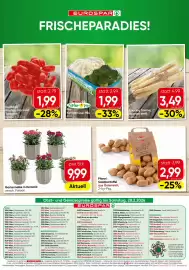 Eurospar Flugblatt Seite 16