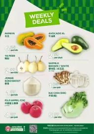 Amazing Oriëntal folder week 9 Pagina 1