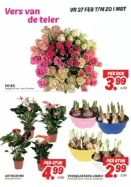 Dekamarkt folder Pagina 6