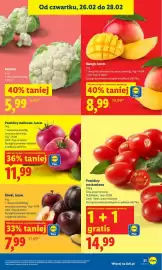 Lidl gazetka Strona 21