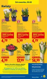 Lidl gazetka Strona 55