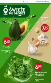 Żabka gazetka Strona 3