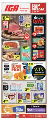 IGA flyer