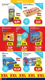 Hofer Flugblatt Seite 12