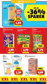 Hofer Flugblatt Seite 13