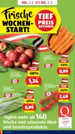 Hofer Flugblatt Seite 14