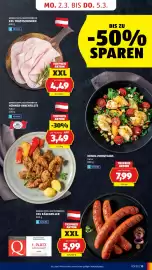 Hofer Flugblatt Seite 15