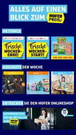 Hofer Flugblatt Seite 2