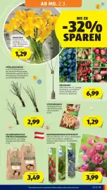 Hofer Flugblatt Seite 21