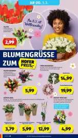 Hofer Flugblatt Seite 34