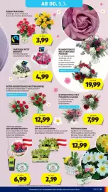 Hofer Flugblatt Seite 35