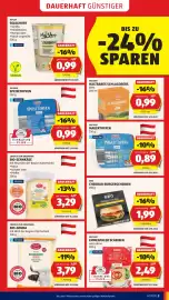 Hofer Flugblatt Seite 5