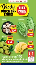 Hofer Flugblatt Seite 6