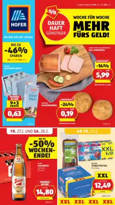 Hofer Flugblatt (gültig bis 6-03)