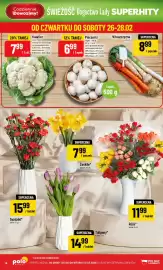 Polomarket gazetka tydzień 9 Strona 14