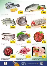 Nesto catalogue Page 9