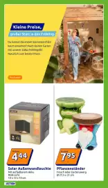 Action Flugblatt woche 9 Seite 16