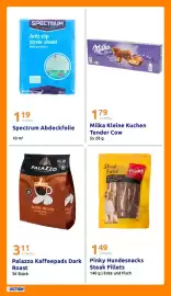 Action Flugblatt woche 9 Seite 27