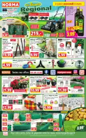Catalogue Norma semaine 10 page 1