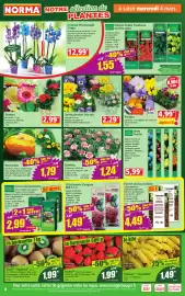 Catalogue Norma semaine 10 page 4