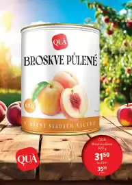 Astur&Qanto leták Strana 195