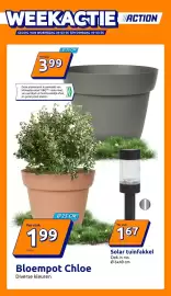 Action folder week 10 Pagina 1