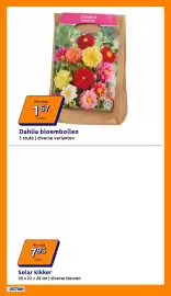 Action folder week 10 Pagina 23