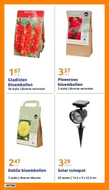 Action folder week 10 Pagina 24