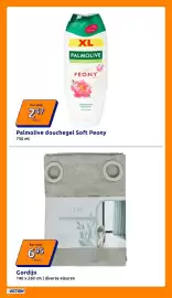 Action folder week 10 Pagina 32