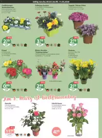 V Markt Prospekt woche 10 Seite 14