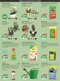 V Markt Prospekt woche 10 Seite 15