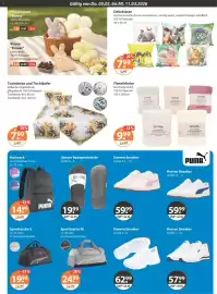 V Markt Prospekt woche 10 Seite 17