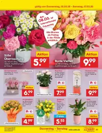 Netto Marken-Discount Prospekt woche 10 Seite 51