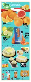 Safeway flyer week 9 Page 16