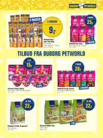 Otto Duborg avis Side 29