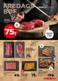 SuperBrugsen tilbudsavis uge 9 Side 13