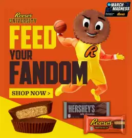 Lowes Foods weekly ad week 9 Page 7