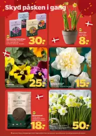 Netto tilbudsavis uge 9 Side 29