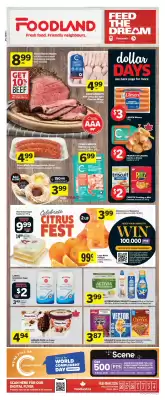 Foodland flyer