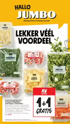 Jumbo City folder (geldig t/m 3-03)