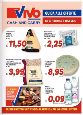 Volantino Vivo Supermercati (valido fino al 7-03)