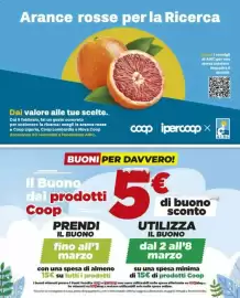 Volantino Ipercoop Pagina 2